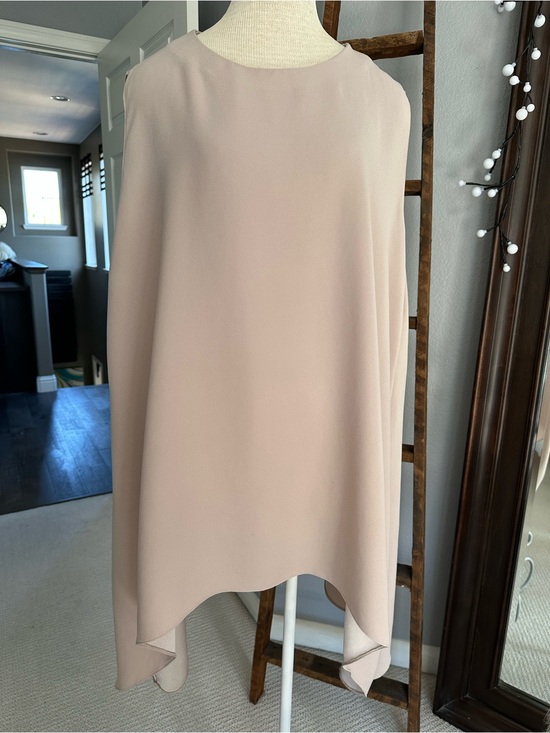 IRO Dresses & Skirts - IRO Blush Asymmetrical Sleeveless Shift Dress, size (42) large